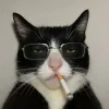 🤩 Эмодзи «Ultimate Memes» для Telegram