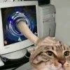 🤩 Эмодзи «Ultimate Memes» для Telegram