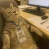 🤩 Эмодзи «Ultimate Memes» для Telegram