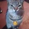 🤩 Эмодзи «Ultimate Memes» для Telegram