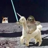 🤩 Эмодзи «Ultimate Memes» для Telegram