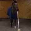 🤩 Эмодзи «Ultimate Memes» для Telegram