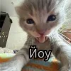 🤩 Эмодзи «Ultimate Memes» для Telegram