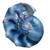 🐚 Эмодзи «Heisei Retro #retro» для Telegram