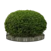 🌳 Эмодзи «Heisei Retro» для Telegram