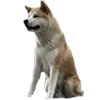 🐶 Эмодзи «Hellmem» для Telegram