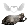 🐈‍⬛ Эмодзи «Is Hello Kitty» для Telegram