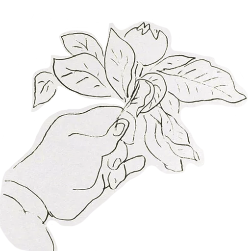 💐 Стикер «Henri Matisse» для Telegram