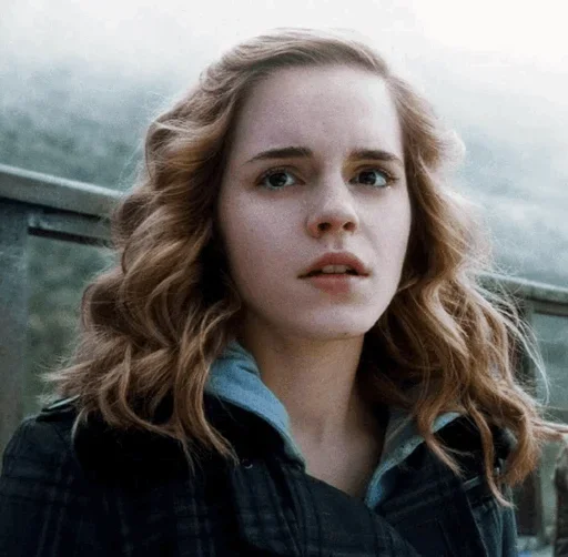 Стикерпак Hermione Granger для Telegram — скачать