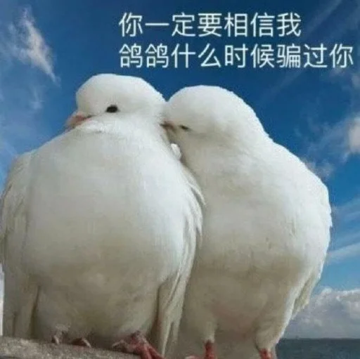 😗 Стикер «核心支付官方群组第二期» для Telegram