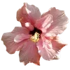 🌺 Эмодзи «Hibiscus Flower» для Telegram
