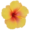 🌺 Эмодзи «Hibiscus Flower» для Telegram