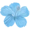 🌺 Эмодзи «Hibiscus Flower» для Telegram