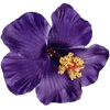 🌺 Эмодзи «Hibiscus Flower» для Telegram