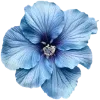 🌺 Эмодзи «Hibiscus Flower» для Telegram