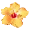 🌺 Эмодзи «Hibiscus Flower» для Telegram