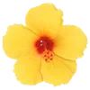 🌺 Эмодзи «Hibiscus Flower» для Telegram