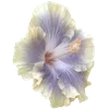 🌺 Эмодзи «Hibiscus Flower» для Telegram