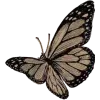 🤩 Эмодзи «𐌗ᥙᥰᥰᥙ ʙᥲᥔΔᥙΚ» для Telegram