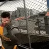 😶 Эмодзи «Half-Life - эмодзи по игре» для Telegram