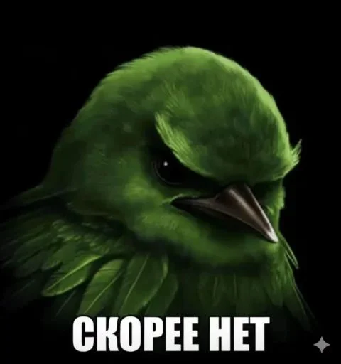 🤩 Стикер «Hamster capybara and bird mem» для Telegram