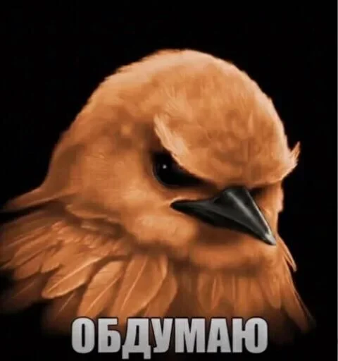 🤩 Стикер «Hamster capybara and bird mem» для Telegram