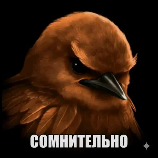 🤩 Стикер «Hamster capybara and bird mem» для Telegram