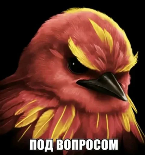 🤩 Стикер «Hamster capybara and bird mem» для Telegram