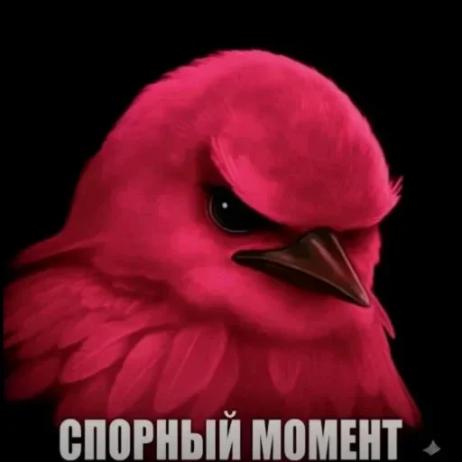 🤩 Стикер «Hamster capybara and bird mem» для Telegram