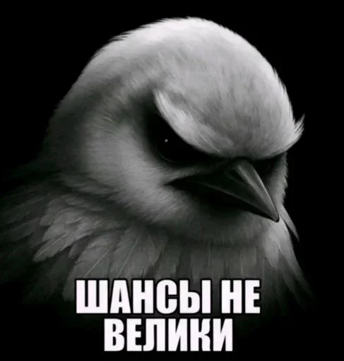 🤩 Стикер «Hamster capybara and bird mem» для Telegram