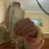 🤩 Эмодзи «Хофма» для Telegram