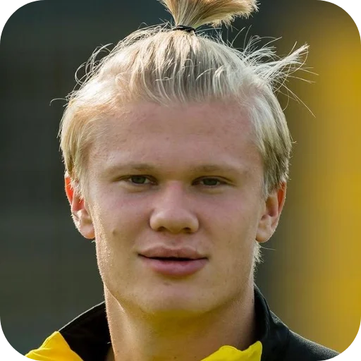 Стикерпак Erling Haaland для Telegram — скачать