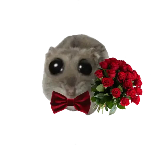 🥺 Стикер «sad hamster» для Telegram
