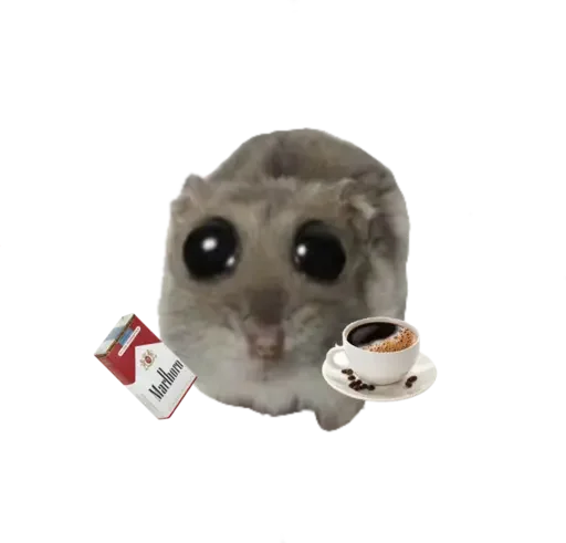 🥺 Стикер «sad hamster» для Telegram