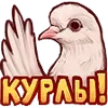 👋 Эмодзи «😎 Maddyson Twitch Emoji» для Telegram