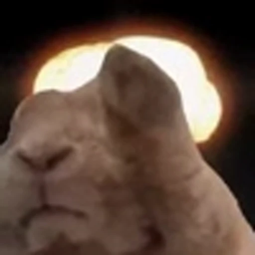💥 Эмодзи «Rabbit Vibe» для Telegram