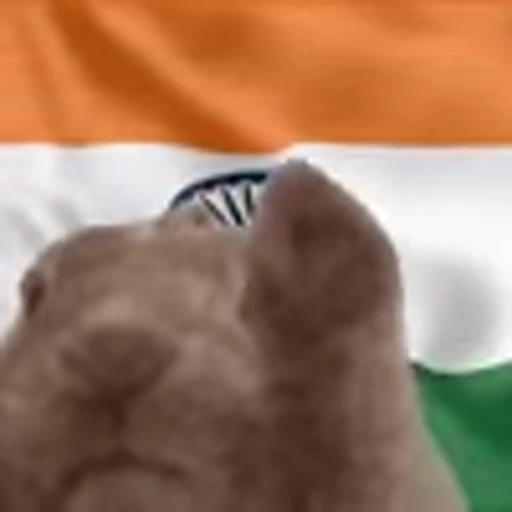 🇮🇳 Эмодзи «Rabbit Vibe» для Telegram