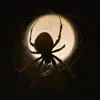 🕷 Эмодзи «Horror #horror» для Telegram