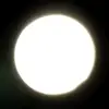 🌕 Эмодзи «Horror #horror» для Telegram