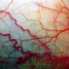 🫥 Эмодзи «Horror vibe» для Telegram