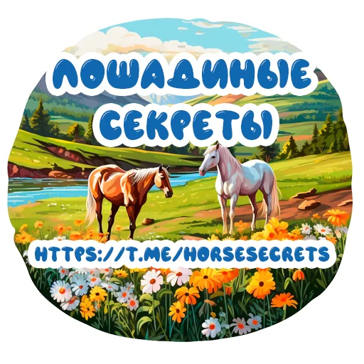 Стикерпак Horse Secrets для Telegram — скачать