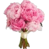 💐 Эмодзи «тг» для Telegram