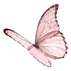 🦋 Эмодзи «тг» для Telegram