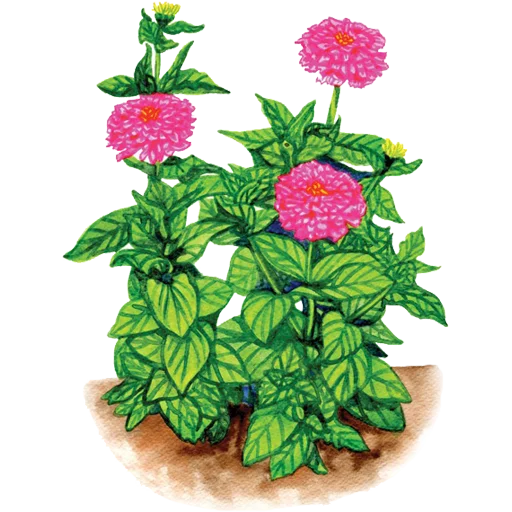 🌱 Стикер «House Plants» для Telegram