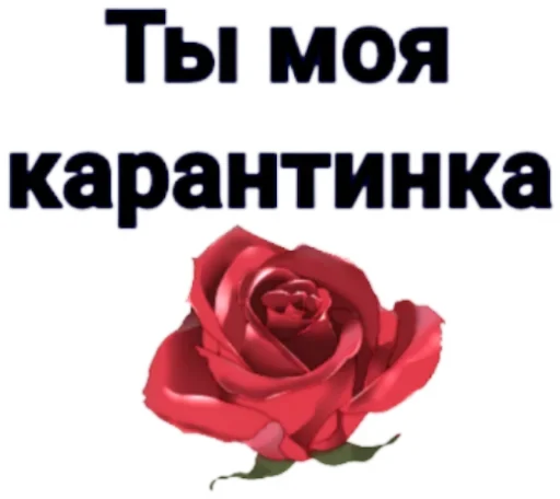 ❤️ Стикер «How to Survive after Coronavirus ?» для Telegram