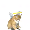 👼 Эмодзи «Cats #cat #cute #girl #memes» для Telegram