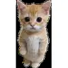 😶 Эмодзи «Cats #cat #cute #girl #memes» для Telegram
