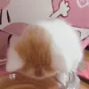 🍽 Эмодзи «Cats #cat #cute #girl #memes» для Telegram