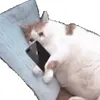 📱 Эмодзи «Cats #cat #cute #girl #memes» для Telegram