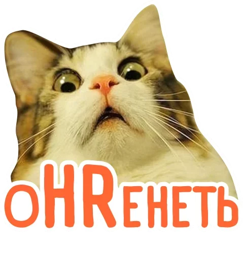 Стикерпак HR-stickers Star-staff для Telegram — скачать